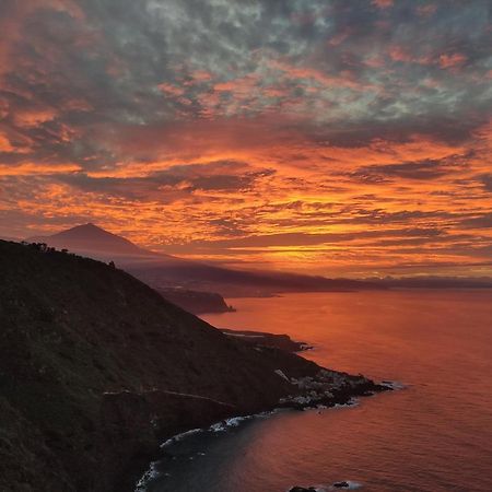 Best View Tenerife Vivienda Vacacional La Matanza De Acentejo Buitenkant foto
